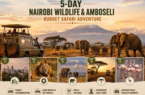 5-DAY NAIROBI WILDLIFE & AMBOSELI BUDGET SAFARI ADVENTURE